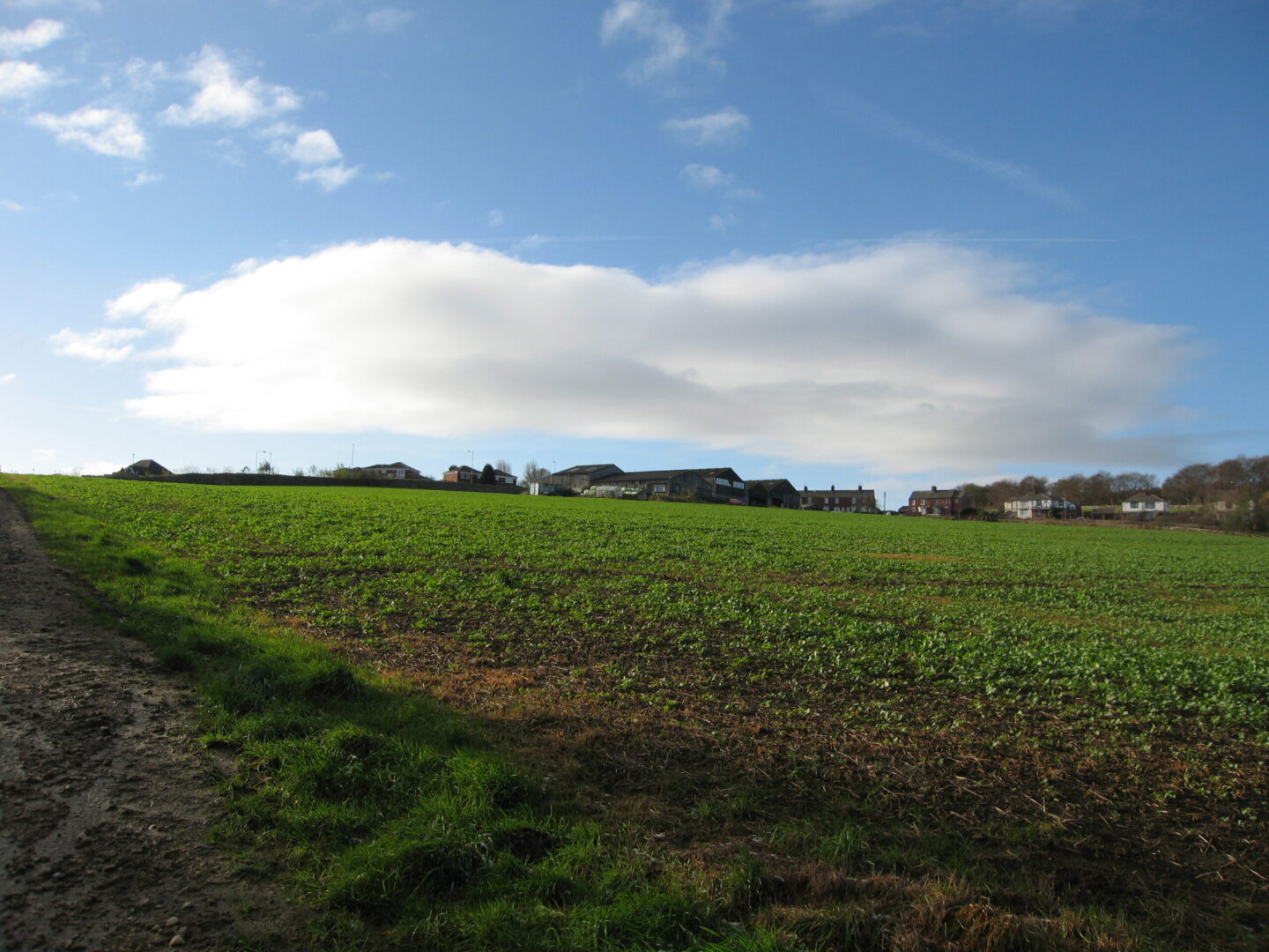 Site Promotion To Remove Green Belt Designation.