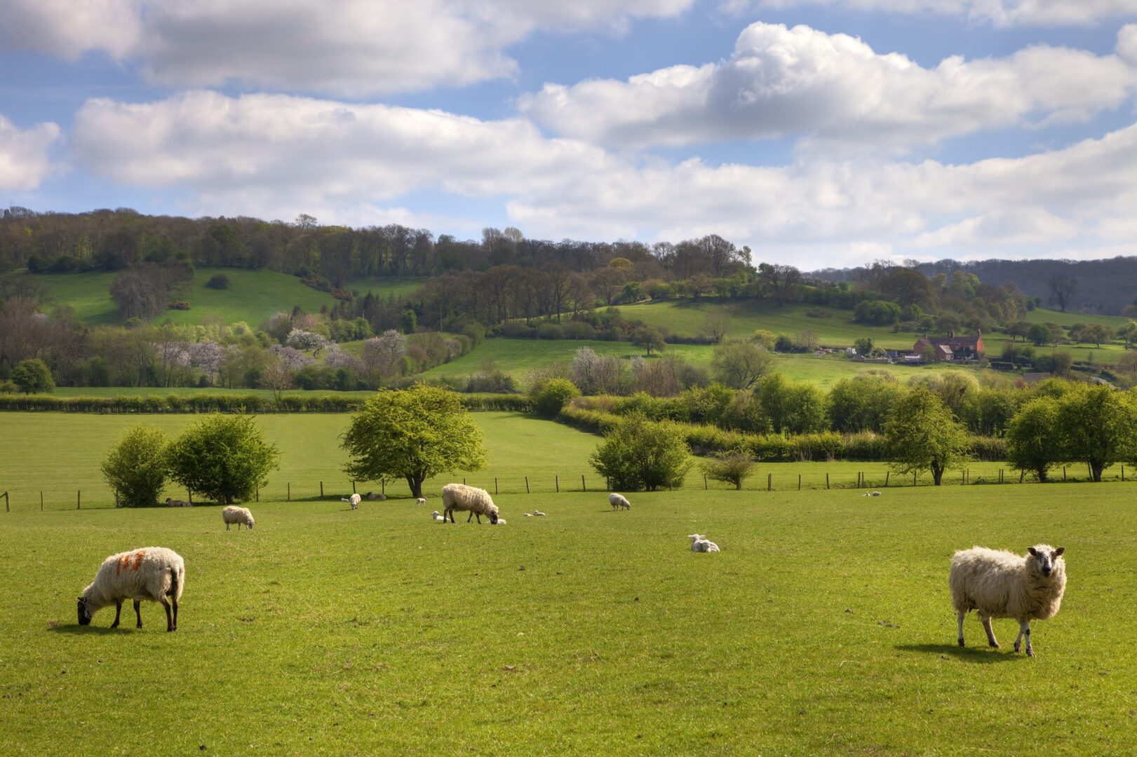 Agricultural Tenancy Rent Review.