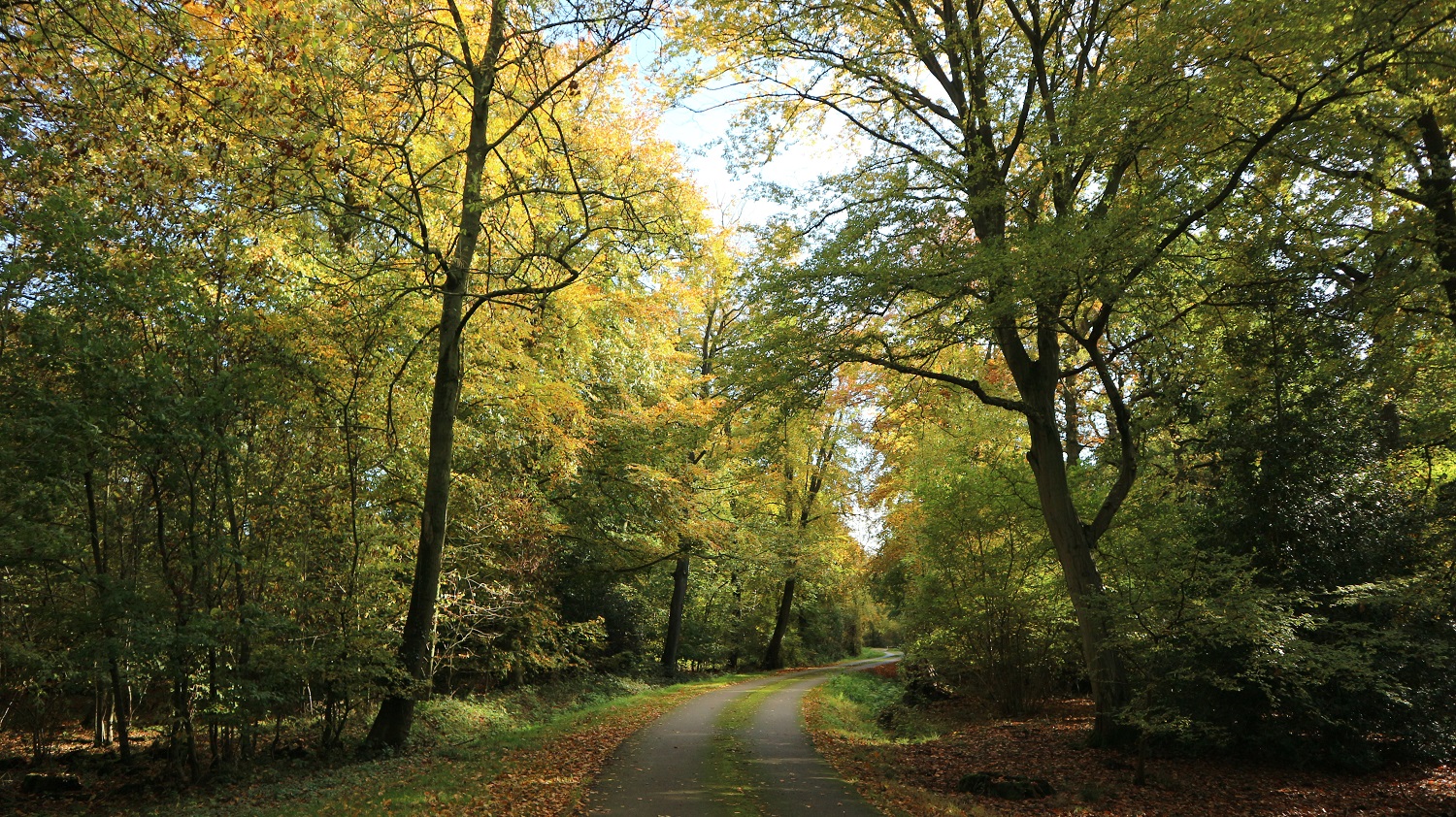 Deciding On An Alternative Rent Review Mechanism For A Farm Business Tenancy.