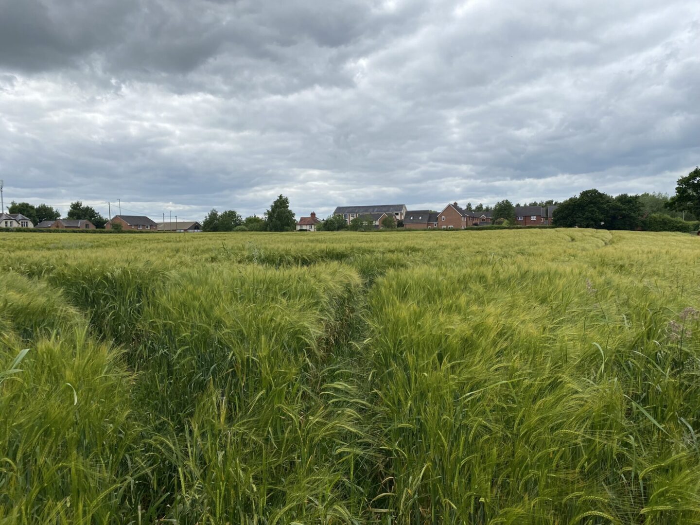 Waymills Housing Development.