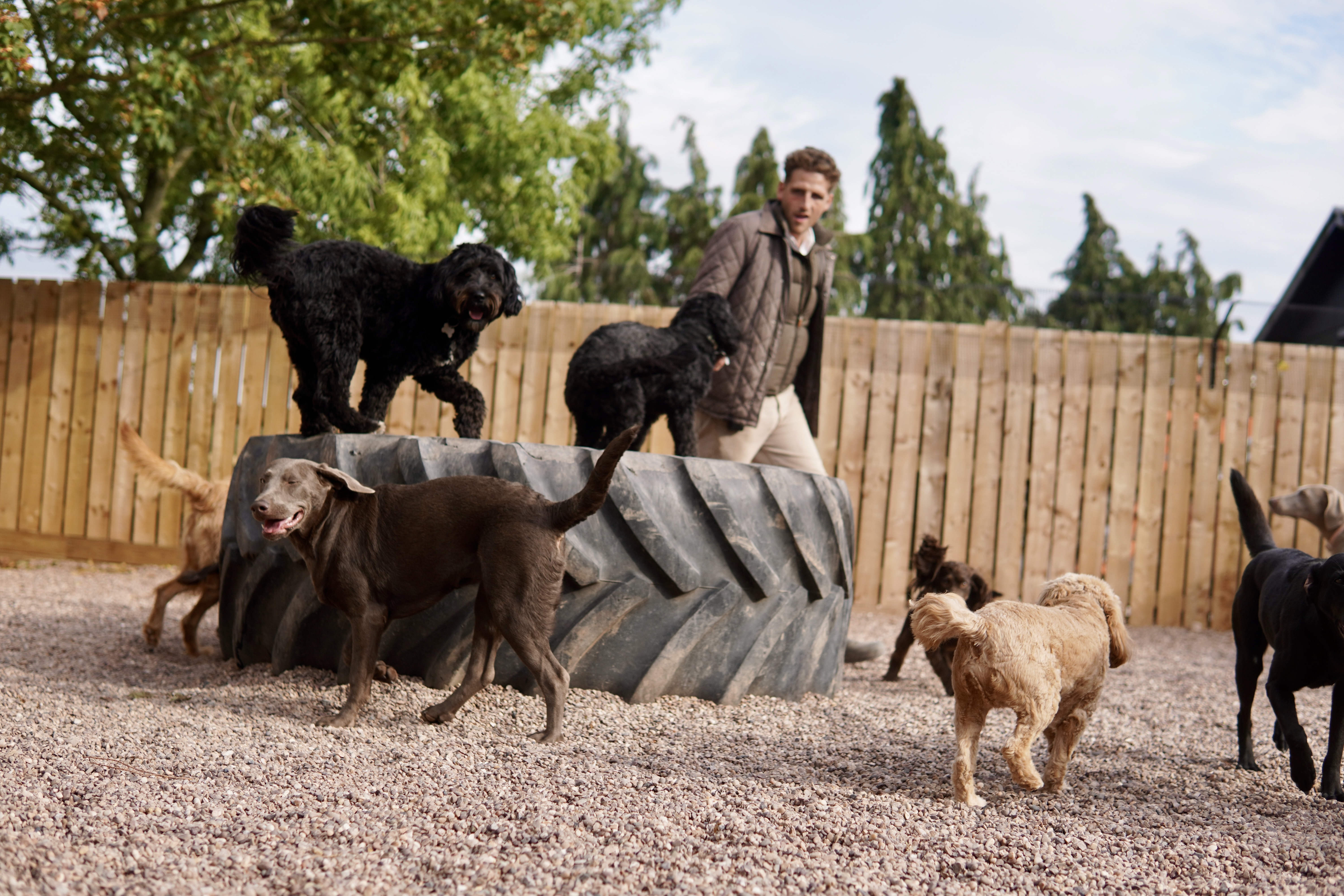 K9 Anytime Expansion.